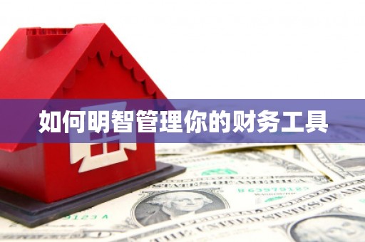 徽县如何明智管理你的财务工具