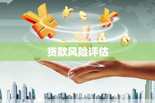徽县贷款风险评估