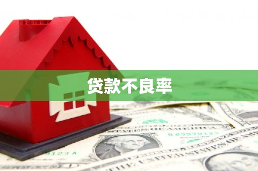徽县贷款不良率