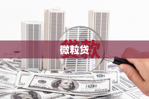 徽县微粒贷