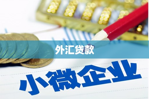 徽县外汇贷款