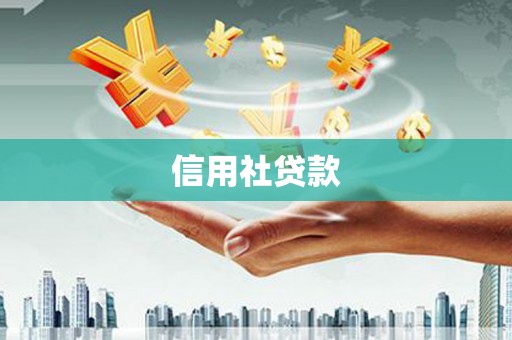 徽县信用社贷款