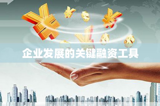 徽县企业发展的关键融资工具