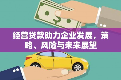 徽县经营贷款助力企业发展，策略、风险与未来展望
