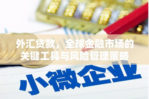 徽县外汇贷款，全球金融市场的关键工具与风险管理策略