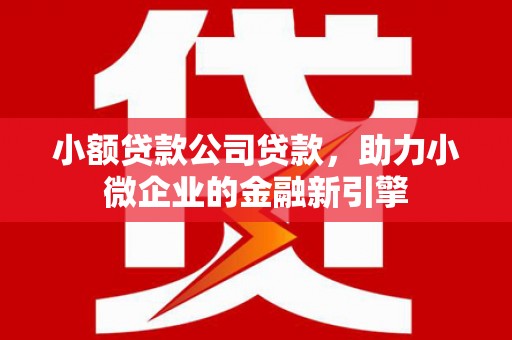 徽县小额贷款公司贷款，助力小微企业的金融新引擎