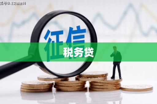 徽县税务贷