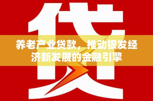 徽县养老产业贷款，推动银发经济新发展的金融引擎