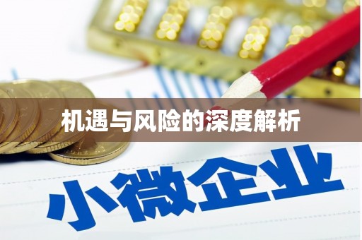 徽县机遇与风险的深度解析