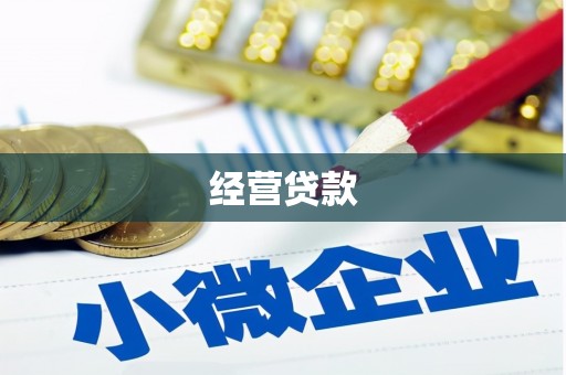徽县经营贷款