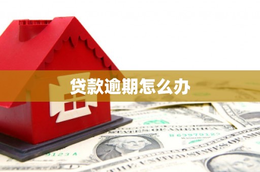 徽县贷款逾期怎么办