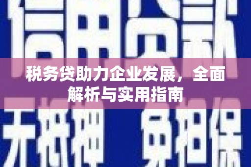 徽县税务贷助力企业发展，全面解析与实用指南