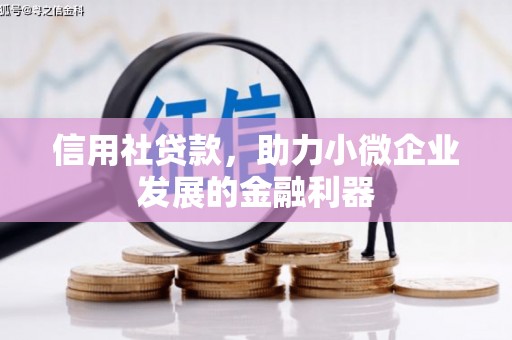 徽县信用社贷款，助力小微企业发展的金融利器