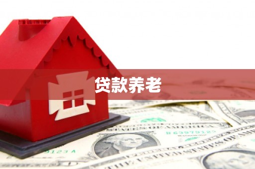 徽县贷款养老