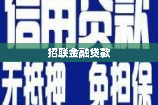 徽县招联金融贷款