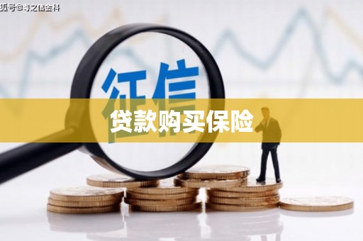 徽县贷款购买保险
