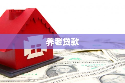 徽县养老贷款