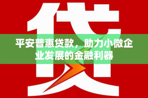 徽县平安普惠贷款，助力小微企业发展的金融利器
