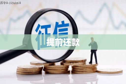 徽县提前还款