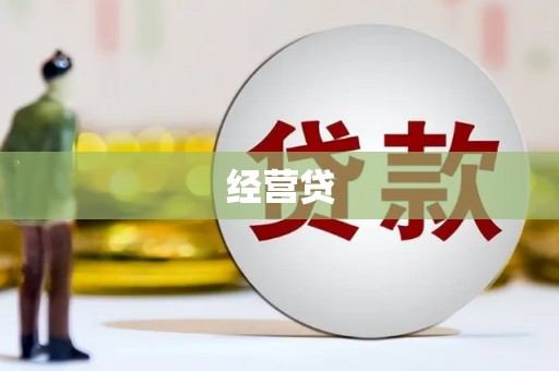 徽县经营贷
