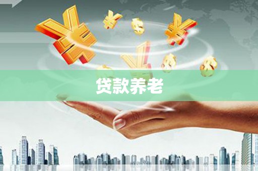 徽县贷款养老
