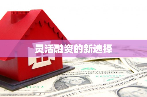 徽县灵活融资的新选择
