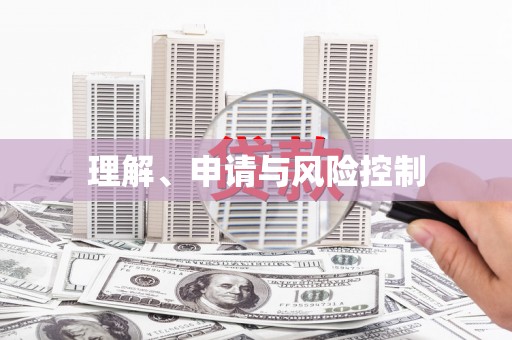 徽县理解、申请与风险控制