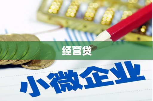 徽县经营贷