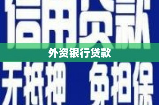 徽县外资银行贷款
