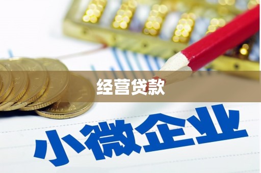 徽县经营贷款