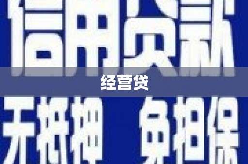 徽县经营贷